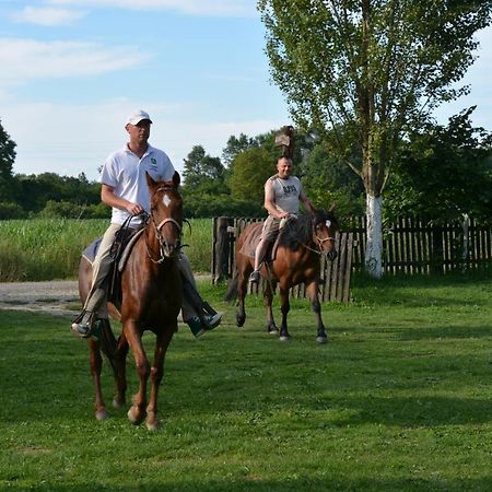 Rural Tourism Family Ravlic Pensionat Muzilovcica Eksteriør billede