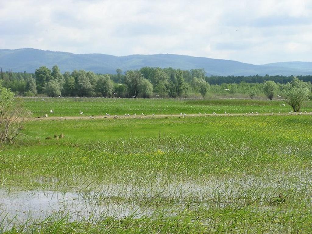 Rural Tourism Family Ravlic Pensionat Muzilovcica Eksteriør billede